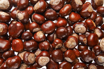 texture of chestnuts on a white background