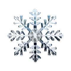Fotobehang snowflake isolated on white © Rax Qiu