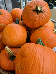 pumpkins on the market