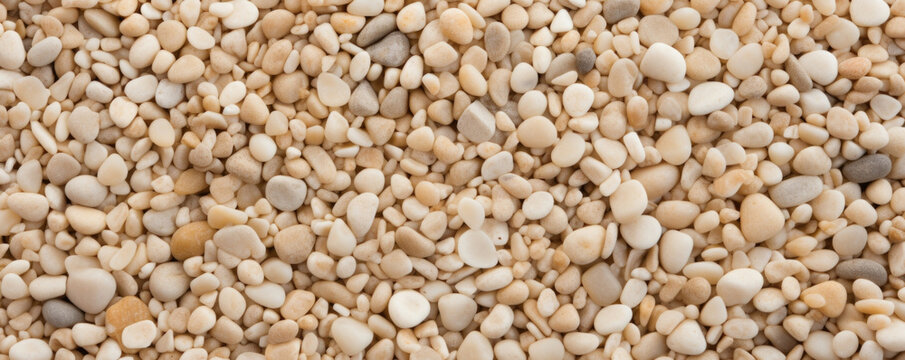 Closeup of smooth pebbled beach sand This sand has a uniform texture with tiny, smooth pebbles evenly distributed throughout. The color is a light beige and the sand appears to have a slightly