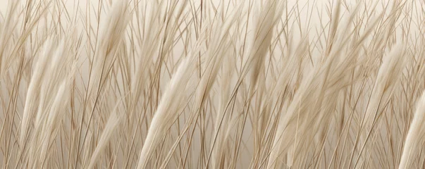 Foto op Canvas Closeup of slender reed stalks, their surfaces covered in fine lines that create a subtle and intricate texture. © Justlight