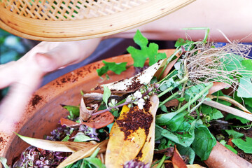 bio trash from food waste and leaves basket in domestic homes to compost bins to make organic...