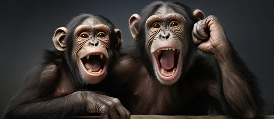 Zelfklevend Fotobehang Chimpanzees enjoy themselves © 2rogan