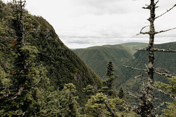 vue en hauteur sur une falaise avec une forêt de conifères en été lors d'une journée ennuagée...