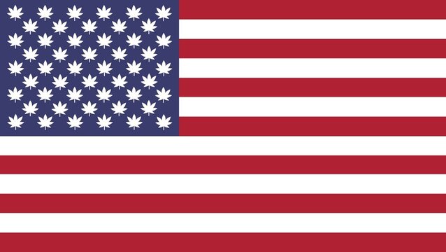 United States USA marijuana hemp cannabis leaf star national country flag vector