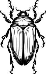 beetle cartoon