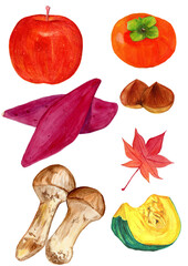 手描き水彩の秋の味覚セットイラスト