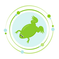 Xenopus laevis clawed frog vector illustration graphic icon symbol