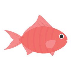 Fish illustration