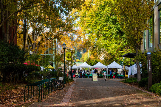 Vendors at the Portland Farmers Market in Downtown Portland, OR with Vibrant Fall Colors