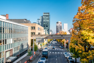 Downtown Portland, OR Skyline and Road in Fall