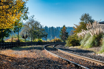 Train Tracks Turning Around Bend of Lake Oswego with Fall Leaves and Trees