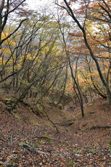 Climbing  Mount Arafune, Gunma, Japan
