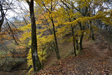 Fototapeta premium Climbing Mount Arafune, Gunma, Japan