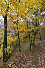 Climbing  Mount Arafune, Gunma, Japan