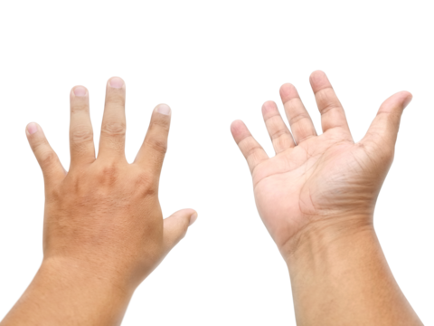 Man hand, transparent background