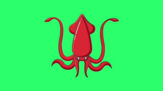 Animation red squid on green background.