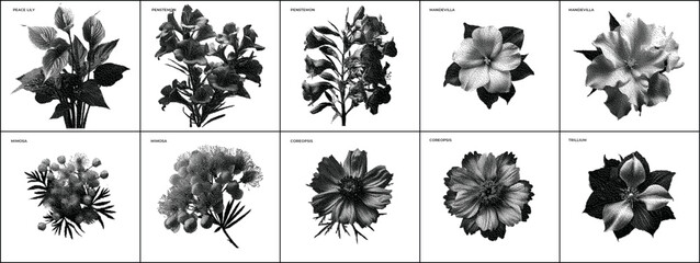 Botanic Dither Bitmap Pixelated Vector