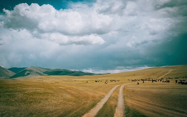 Road in the countryside 