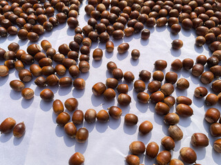 Acorns, Brown, Round, Fruit, Ingredients, Food, Close-Up, Autumn Harvest