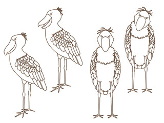 ハシビロコウの素材セット①