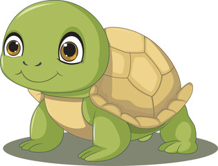 Cute Turtle Cartoon On White Background