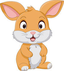 Cute Rabbit Cartoon On White Background