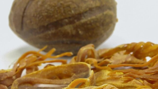 nutmeg seed mace blade spice flavour texture dried on white background pan zoom out