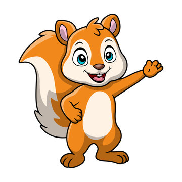 Cute squirrel cartoon on white background