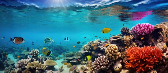 Naklejka na ściany i meble A vibrant underwater ecosystem filled with diverse marine life including fish coral and waves perfect for scuba diving With copyspace for text