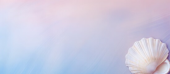 Fototapeta premium Raw cockle on isolated pastel background Copy space