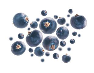 bayas azules frutos flotando sobre fondo blanco