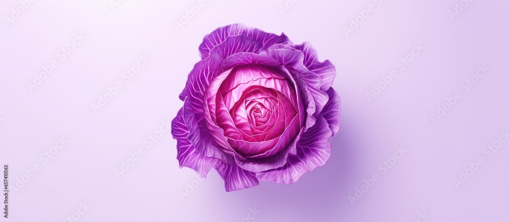 Poster red cabbage alone on isolated pastel background copy space