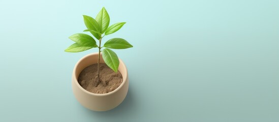 Fototapeta na wymiar Small potted plant on isolated pastel background Copy space