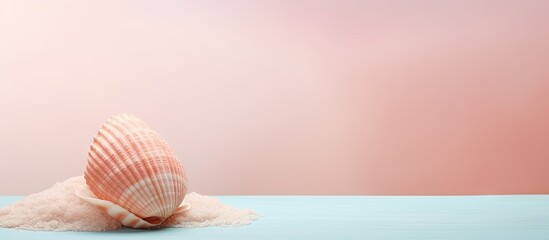 copy space image on isolated background with shadow babylonia areolata seashell in a large ocean