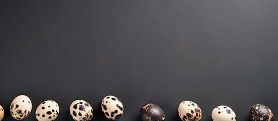 quail eggs against isolated pastel background Copy space