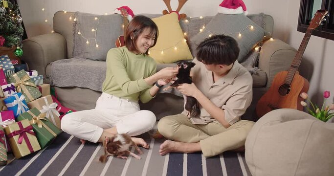 happy young Asian couple in love playing petting stroking little chihuahua dog smiling and laugh celebrating festive season at home, New Year and Christmas concept. Waiting for the holiday