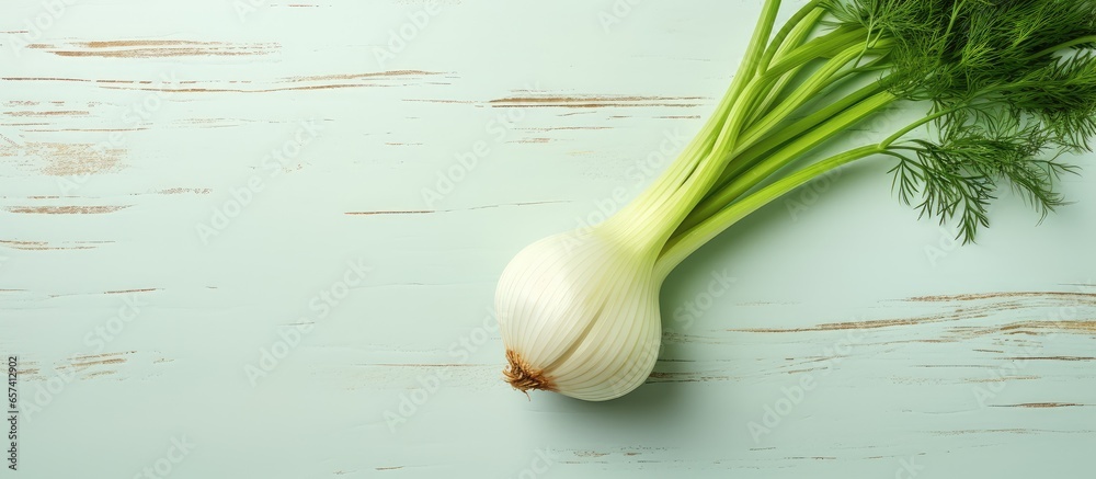 Poster copy space image on isolated background with fennel