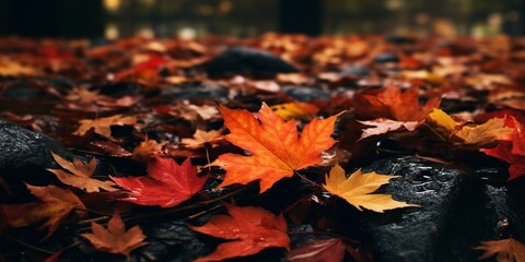 autumn fall leaves background cinematic - obrazy, fototapety, plakaty