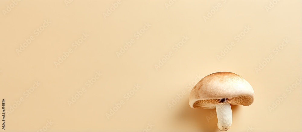 Poster copy space image on isolated background with mushroom