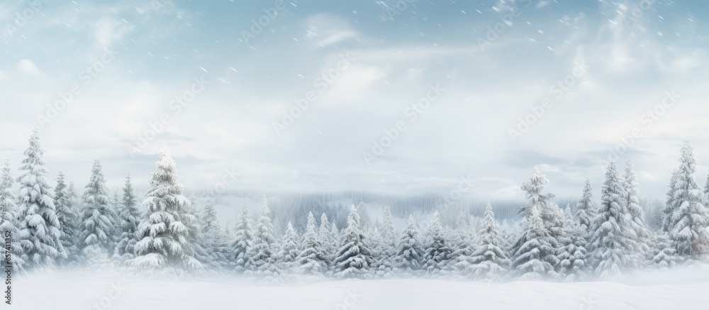 Leinwandbilder snow covered pine trees in a winter forest with a christmas and new years vibe creating a panoramic 