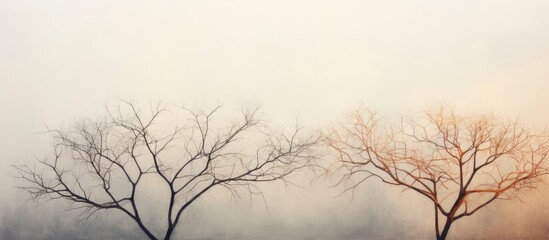 Silhouette of dried tree branch pattern against isolated pastel background Copy space sky