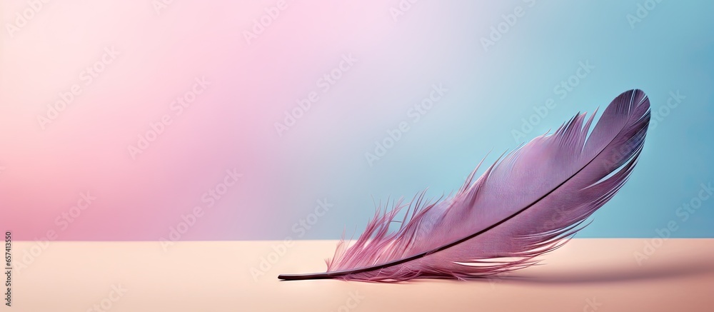 Aufkleber copy space image on isolated background with a feather of a bird