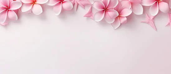 Poster Im Rahmen Plumeria flowers in bright pink against a isolated pastel background Copy space © HN Works