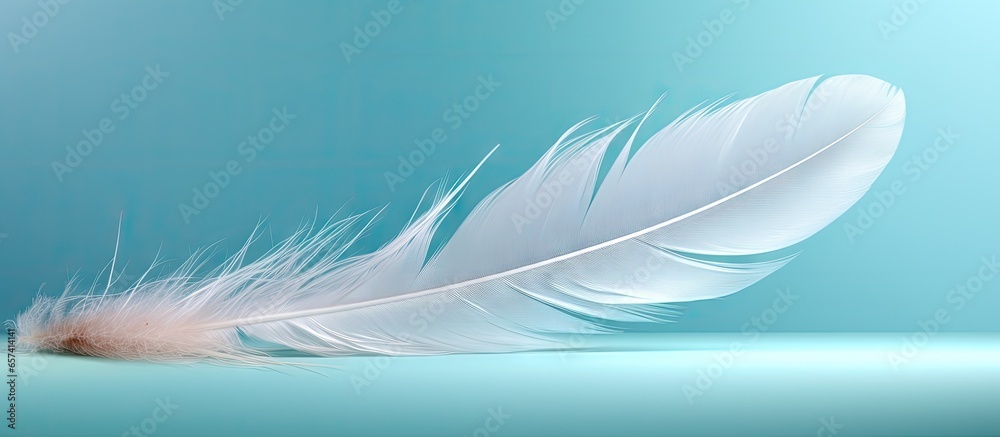 Aufkleber copy space image on isolated background with a feather of a bird