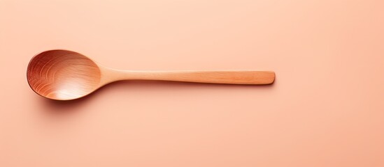 copy space image on isolated background solid wood spoon