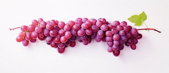 Obraz premium copy space image on isolated background with isolated red grape