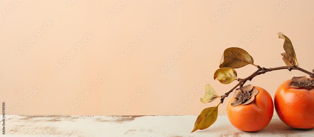Poster copy space image on isolated background with dried persimmon