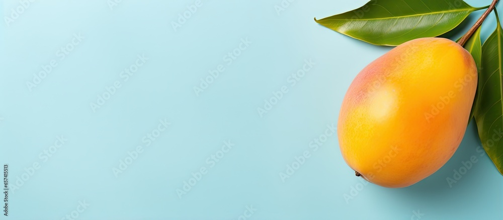Poster copy space image on isolated background with a mango