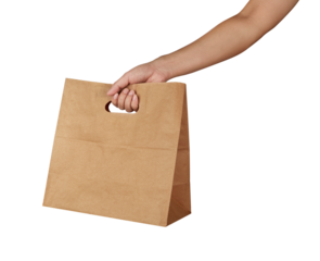 Hand holding a brown paper bag with handle isolated on white background
